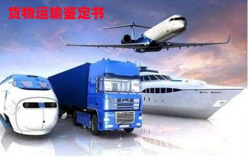 货物运输条件鉴定书 办理途径与现场鉴定适用范围详解