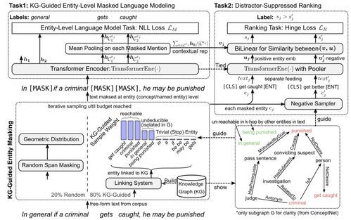 预训练模型与知识图谱相结合 医学研究与试验发展中的研究进展